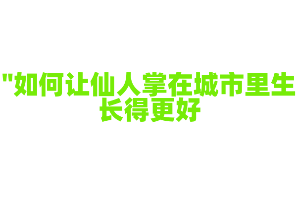 "如何让仙人掌在城市里生长得更好？"